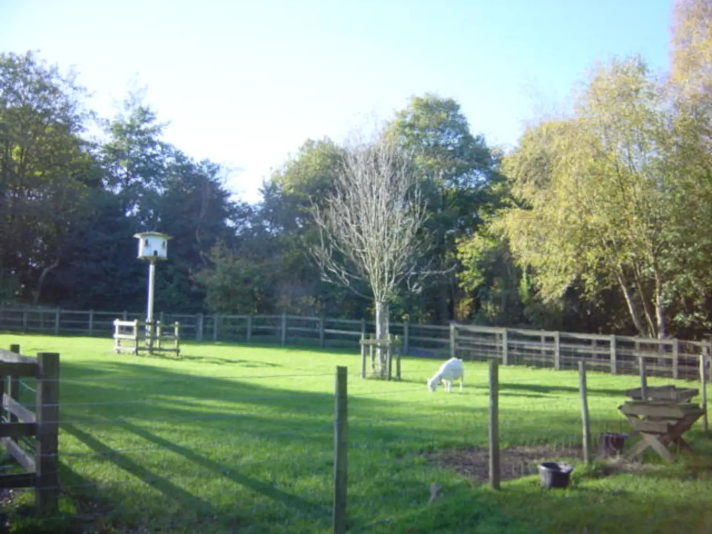 An image depicting the trail Taylor's Wood Loop and its surrounding area.