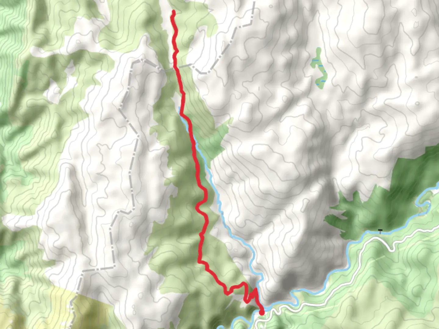 An image depicting the trail Schlink Hut Walking Track and its surrounding area.