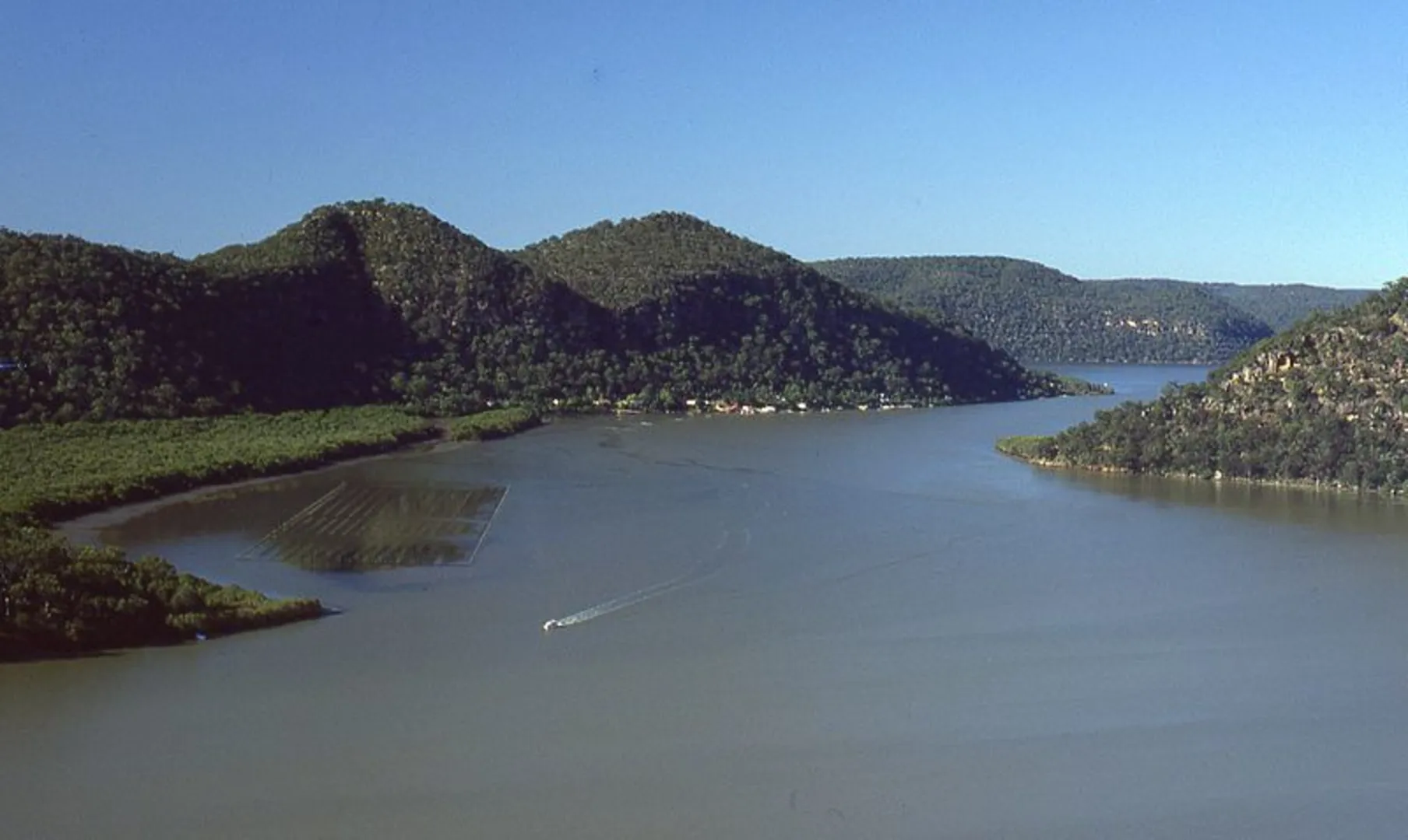 An image depicting the trail Canoelands Ridge Track and its surrounding area.