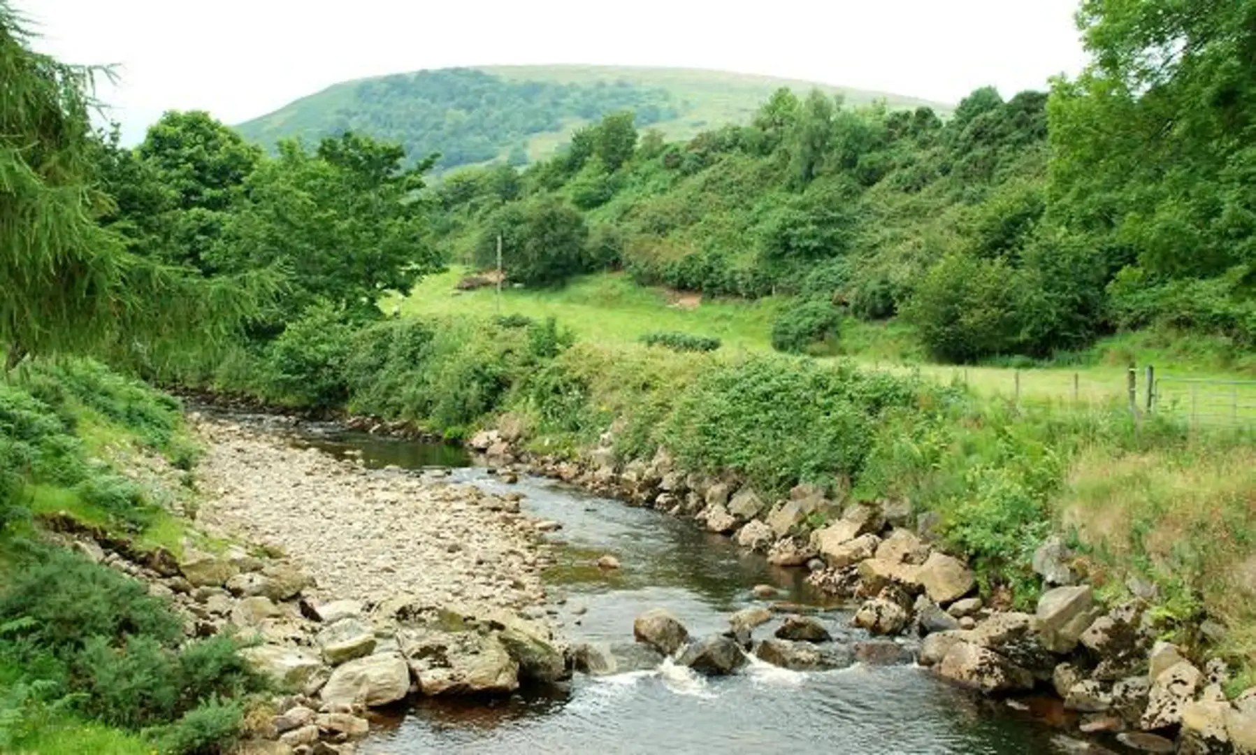 An image depicting the trail Ronan’s Way - Green Loop and its surrounding area.