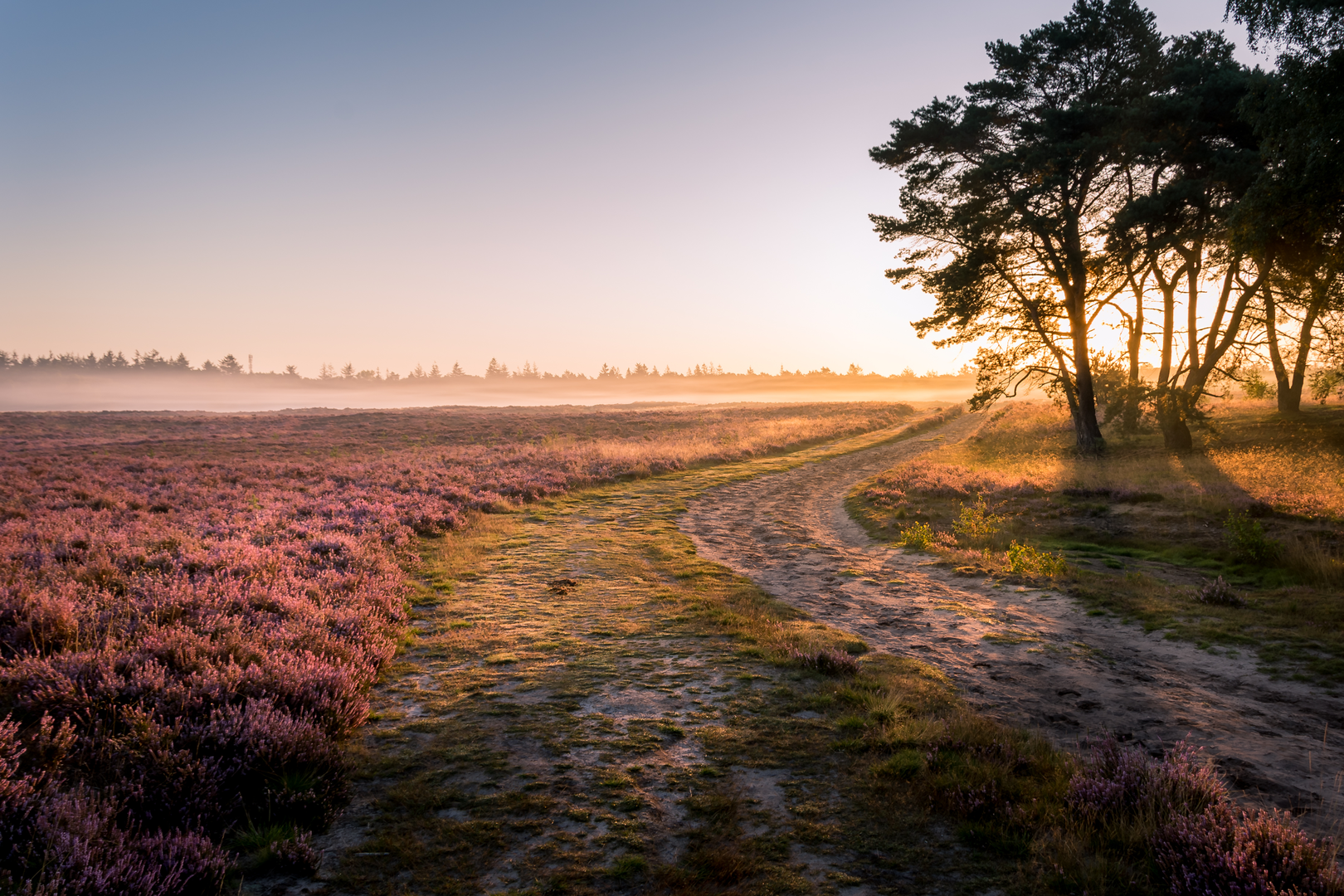 An image depicting the trail Oud Reemsterzand, Hoog Nuurlosche and Deelense Veld via Amsterdamseweg and Arnhemseweg and its surrounding area.