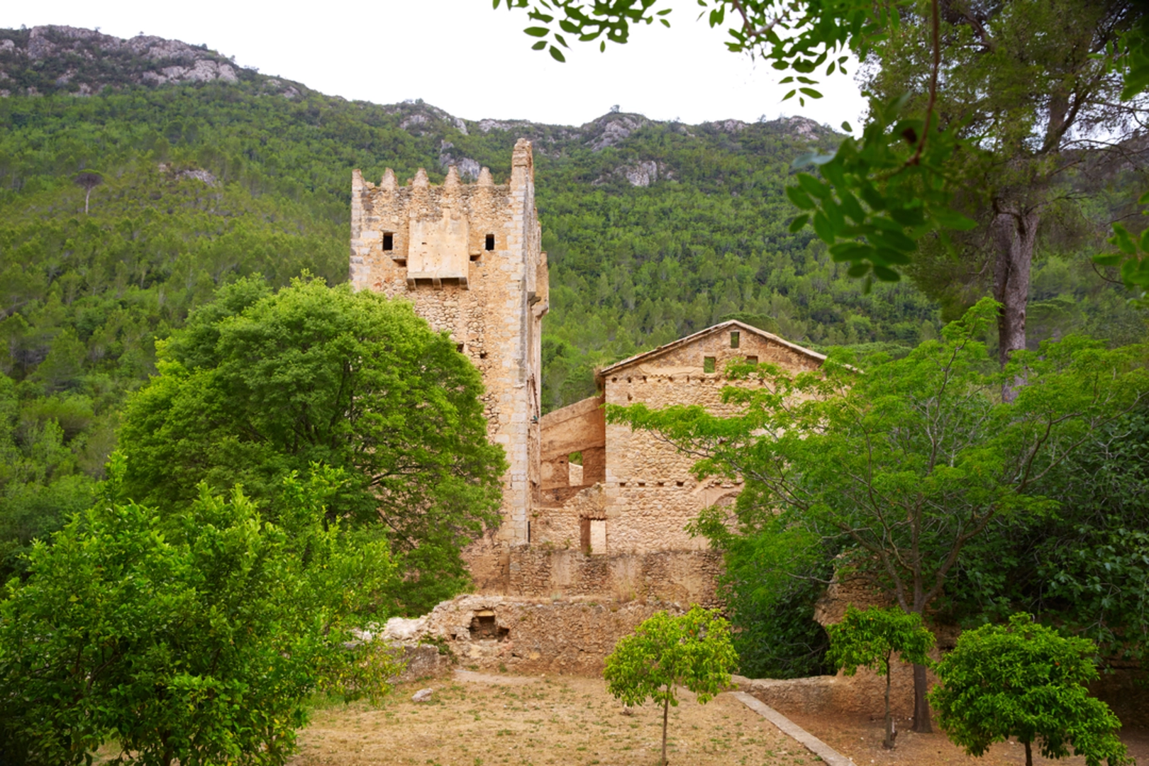 An image depicting the trail D'Alcira a la Casella PR CV 303 and its surrounding area.
