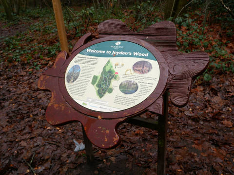 Joydens Wood