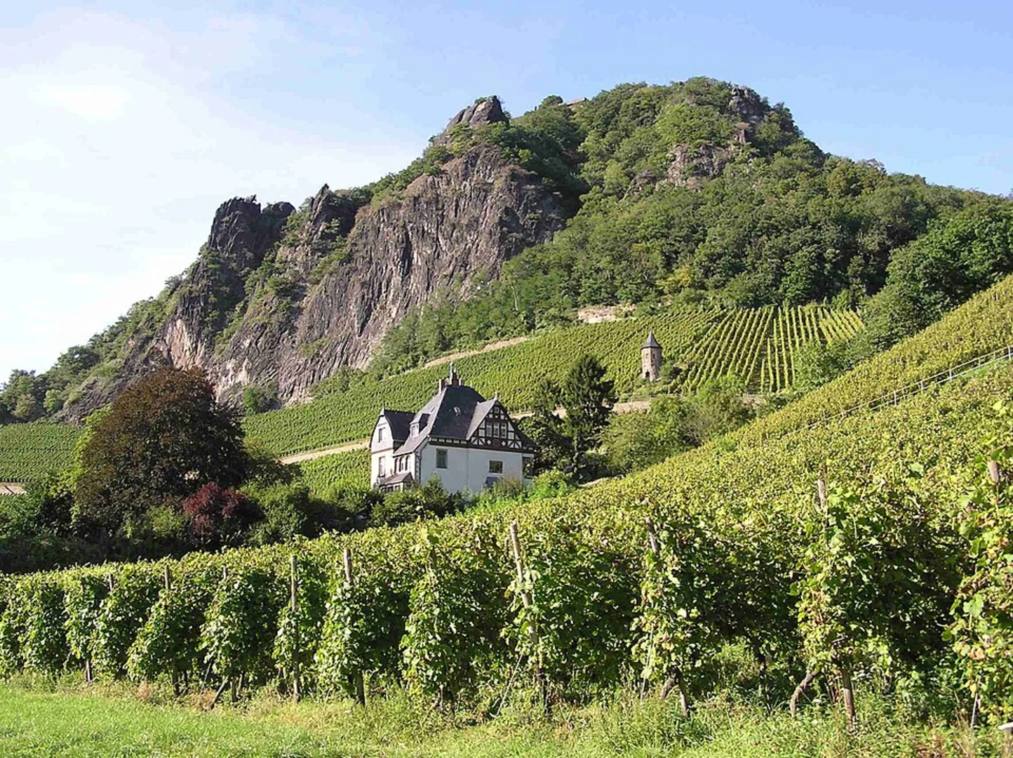 An image depicting the trail Loewenburg, Kleiner Breiberg and Grosser Breiberg via Bergischer Weg and Rheinsteig and its surrounding area.
