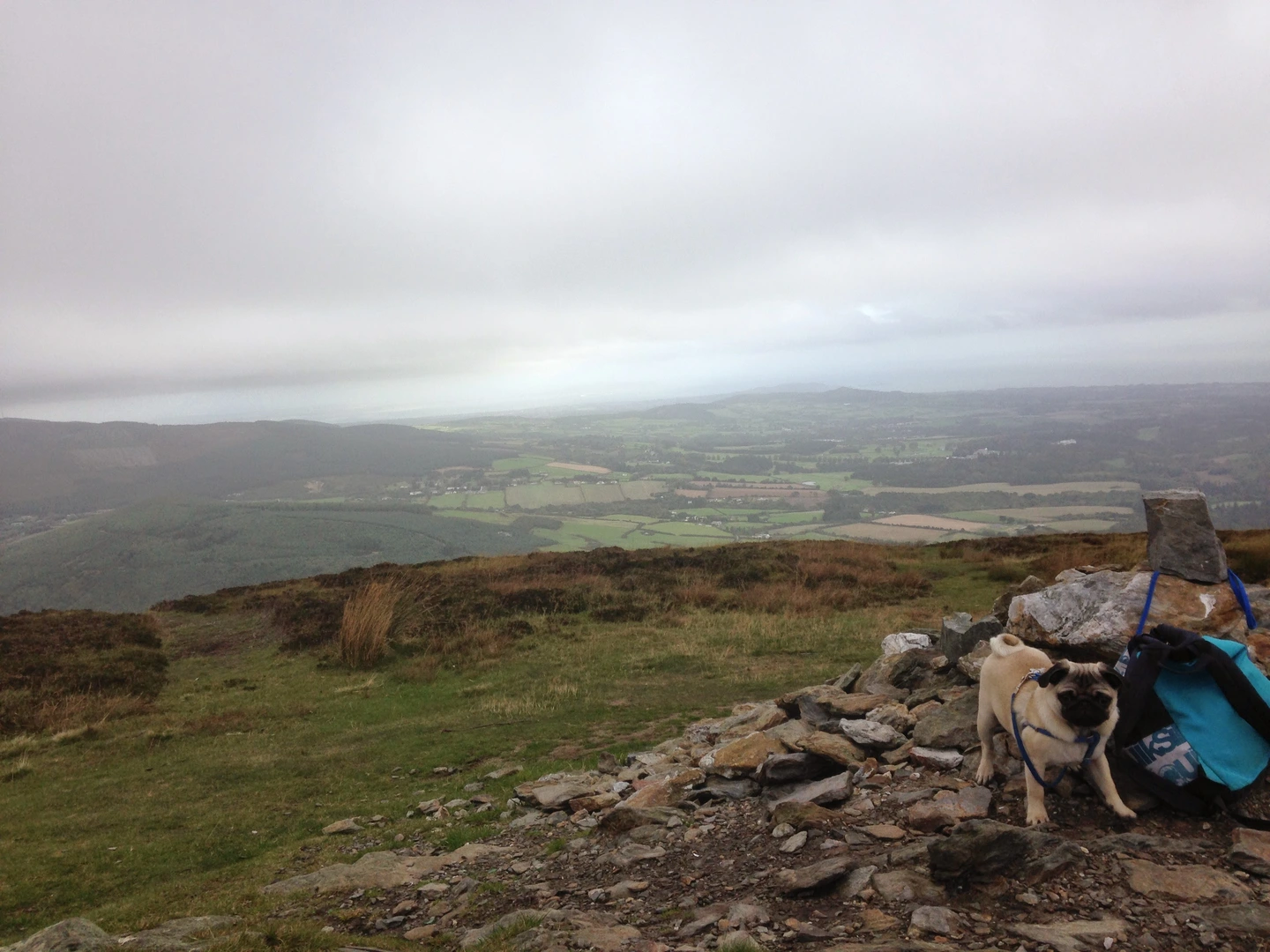 An image depicting the trail Crone Wood And Maulin Mountain and its surrounding area.