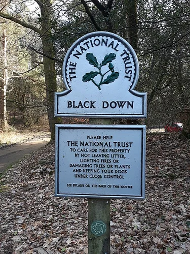 Haste Hill and Valewood Park Loop