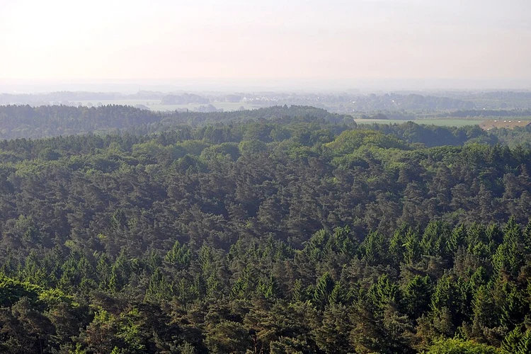 Saar Pfalz Weg and Waldlehrpfad Bremerhof Loop