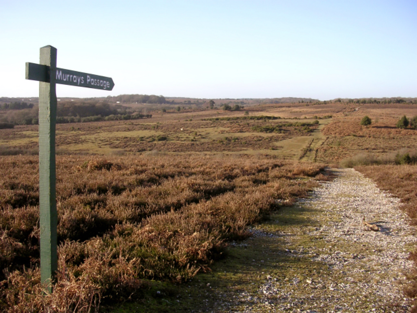 An image depicting the trail Puckpits Inclosure Loop via Andrew's Mare Lake and its surrounding area.