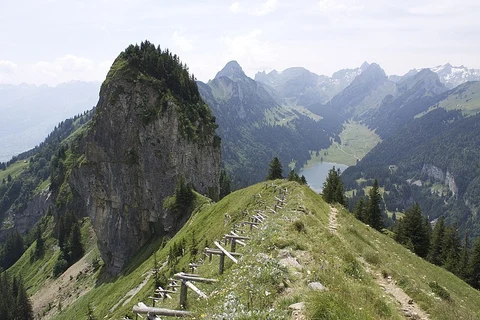 The Geological Trail