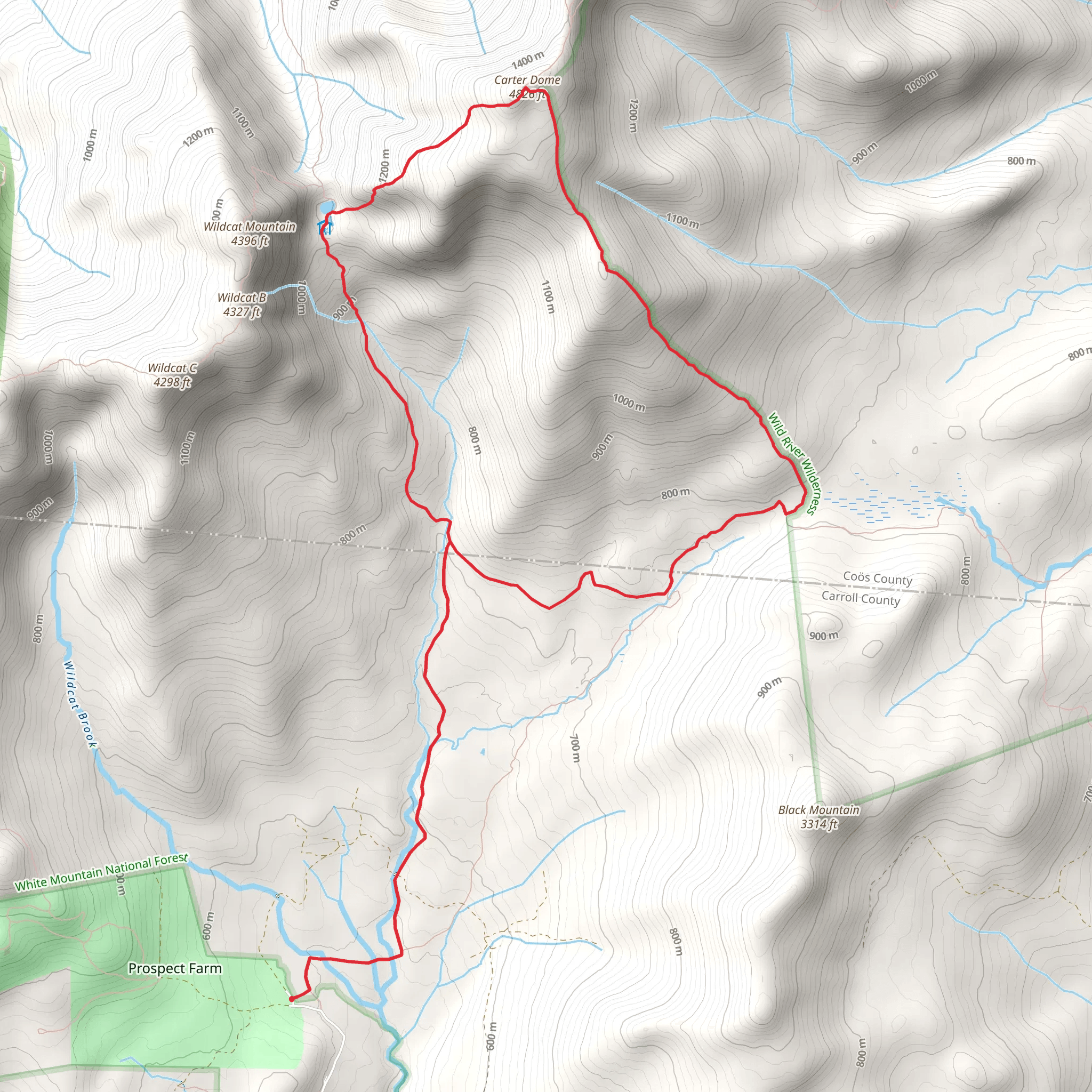 Carter Dome via Wildcat River Loop Trail mobile static map
