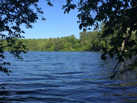 Mill Creek Loop Trail