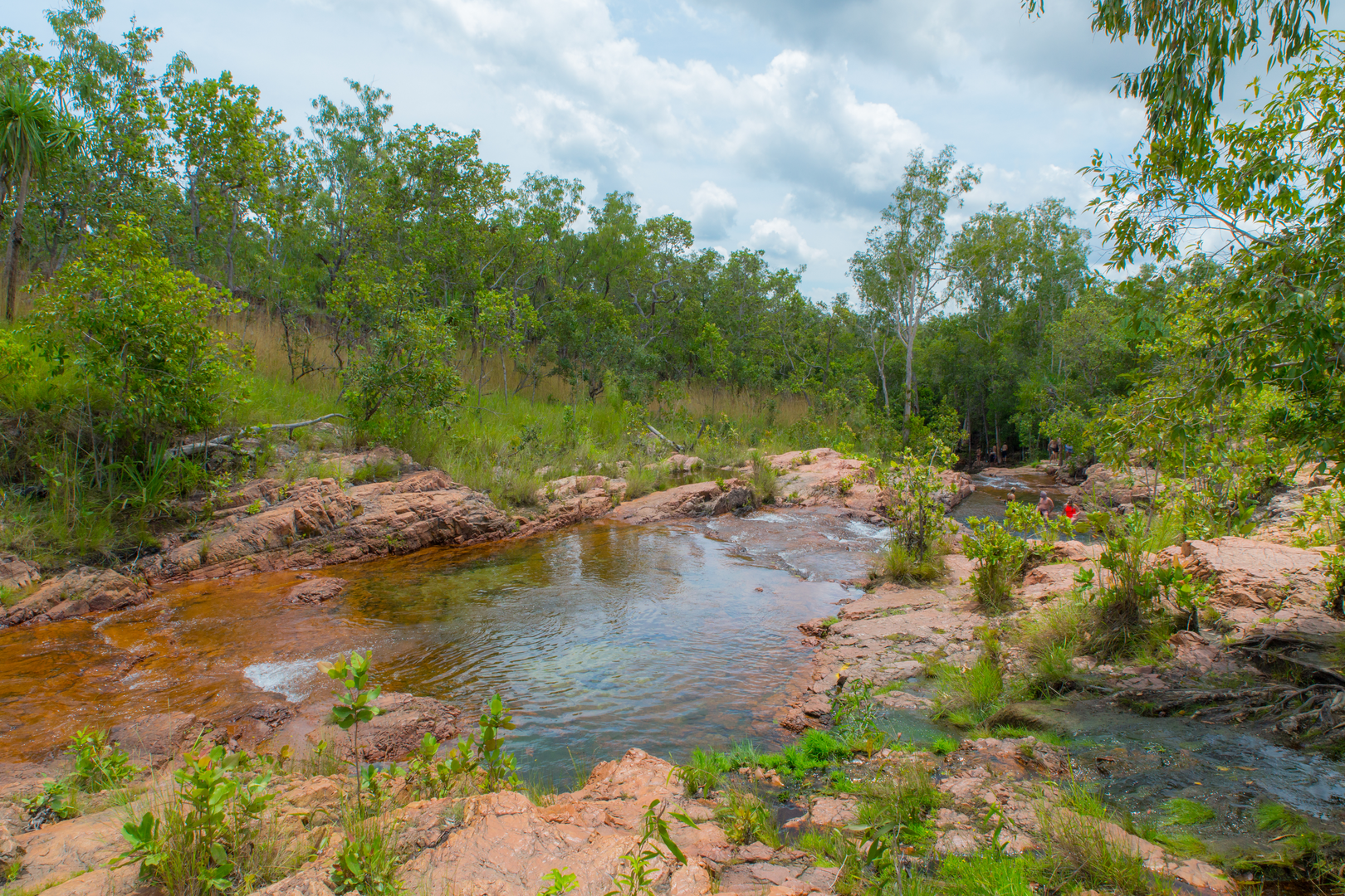 An image depicting the trail Tabletop Track and its surrounding area.