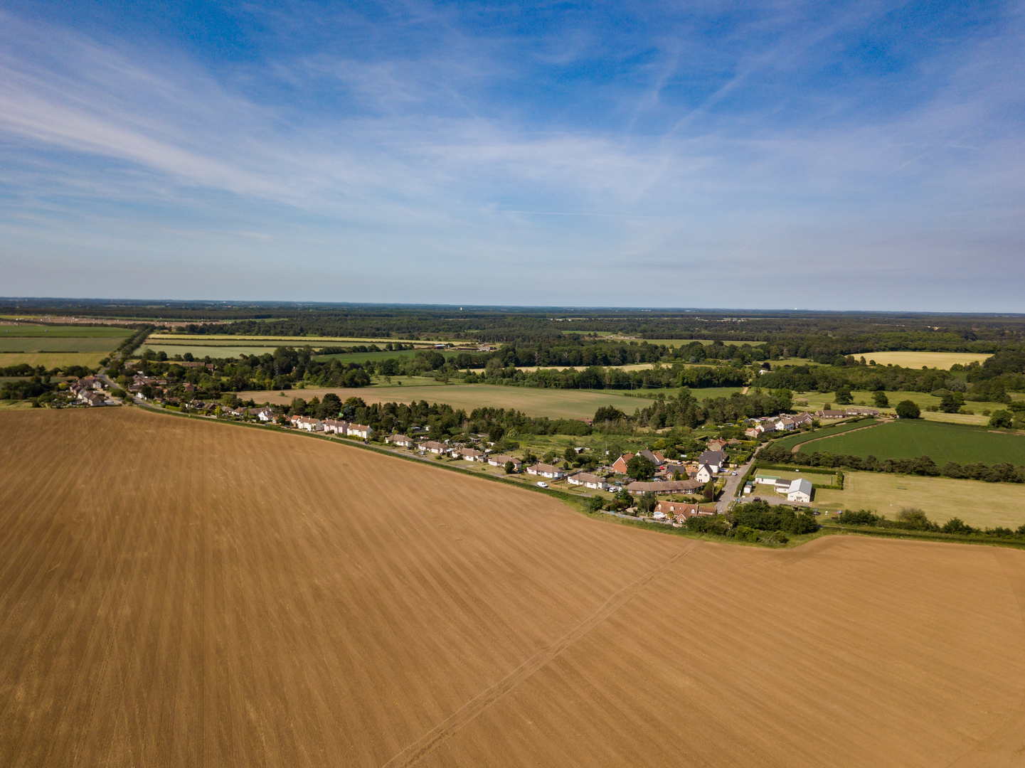 An image depicting the trail Sutton Hoo - Pinewood Walk and its surrounding area.
