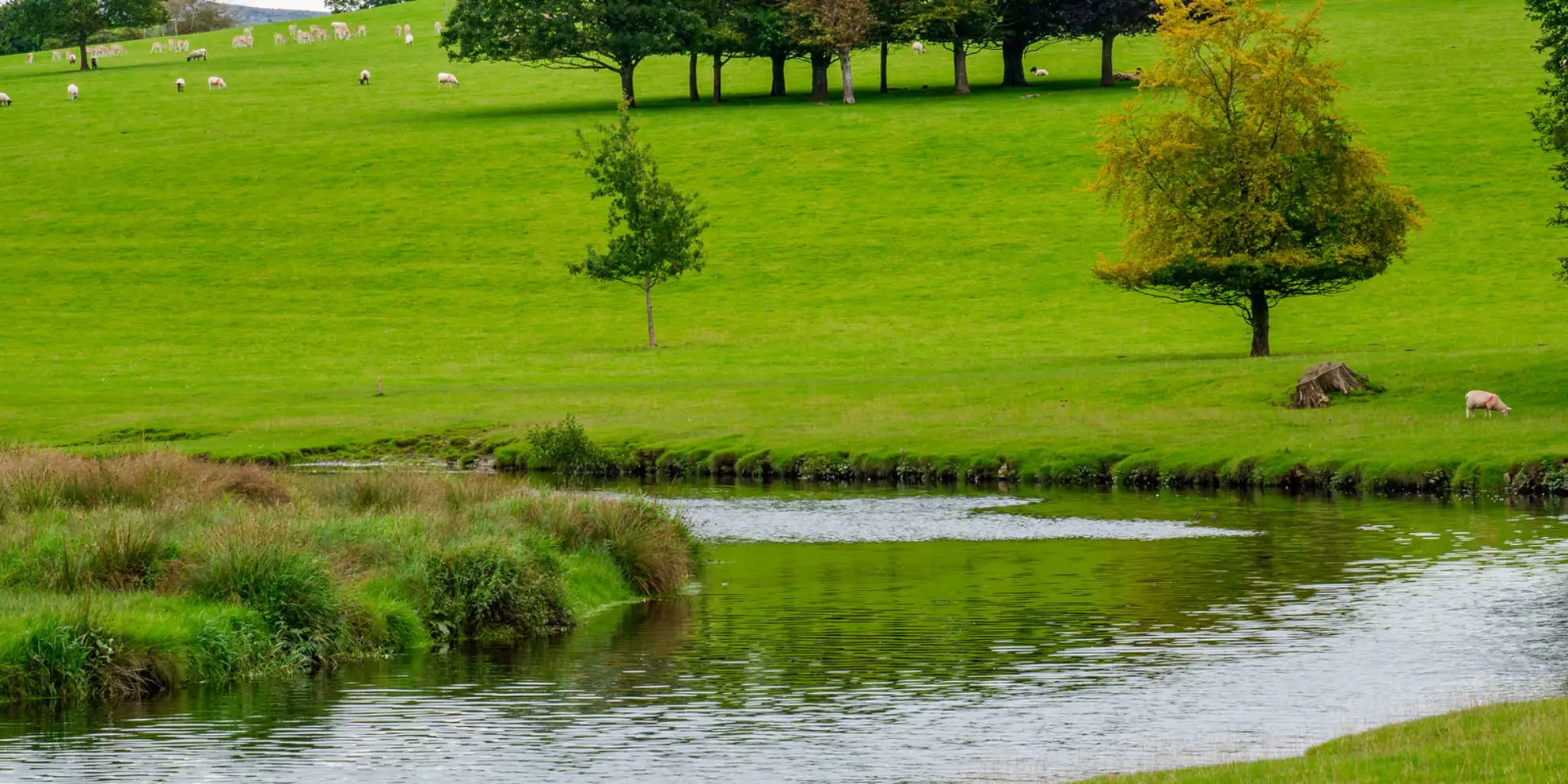 An image depicting the trail Milnthorpe - Hazelslack and Beetham and its surrounding area.