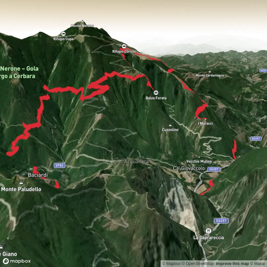 An image depicting the trail Trail Running Monte Nerone and its surrounding area.