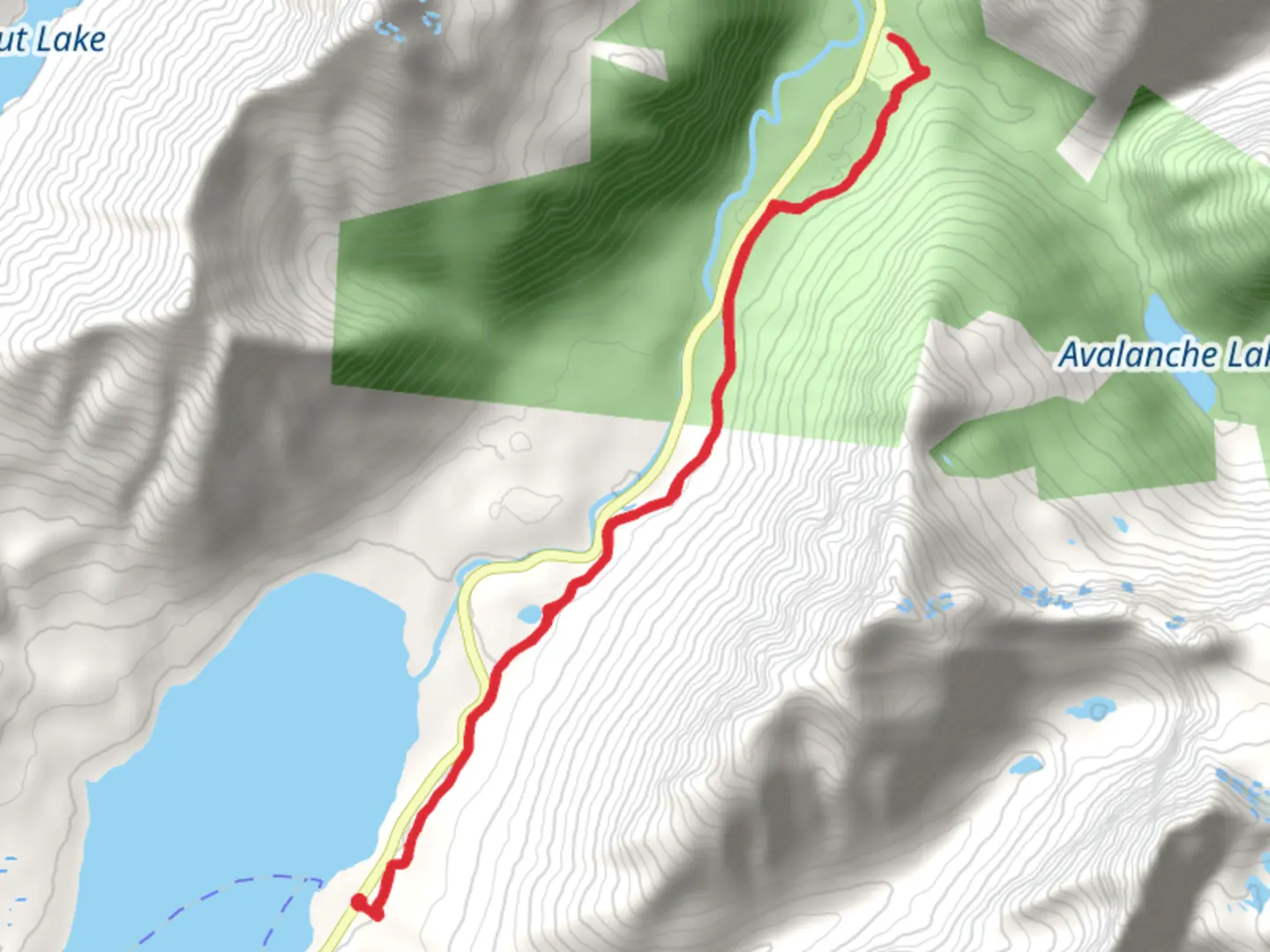 An image depicting the trail Avalanche Campground and Trail of the Cedars and its surrounding area.