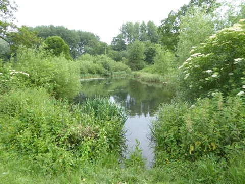 Lydiard Park Loop