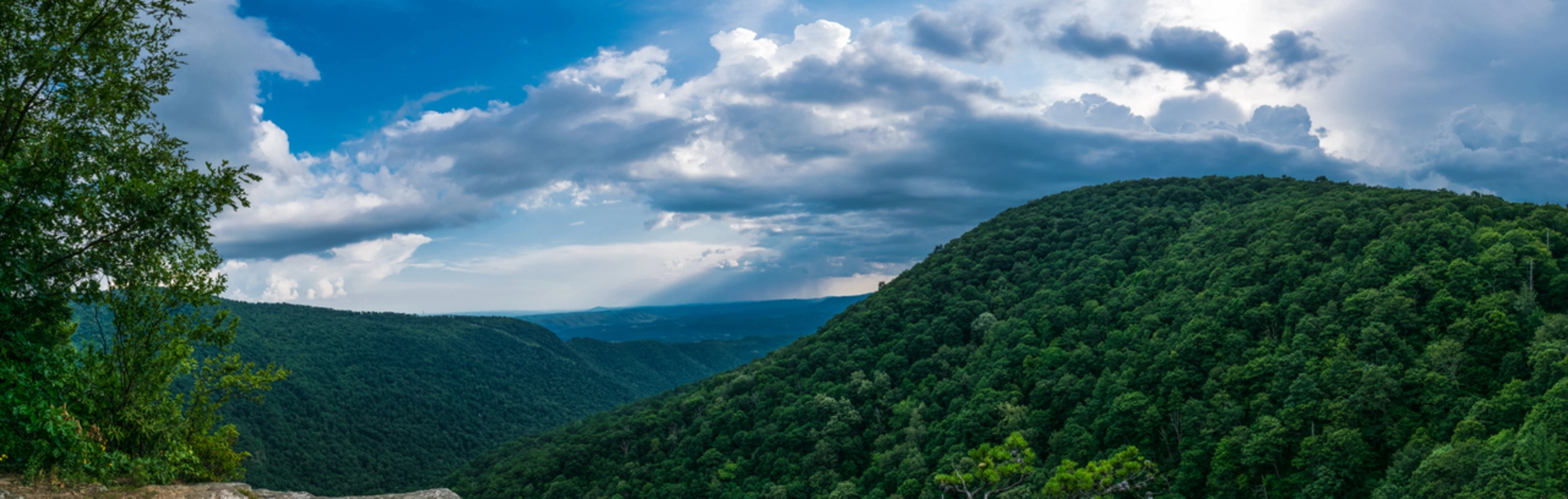 An image depicting the trail Barney's Wall Trail and its surrounding area.