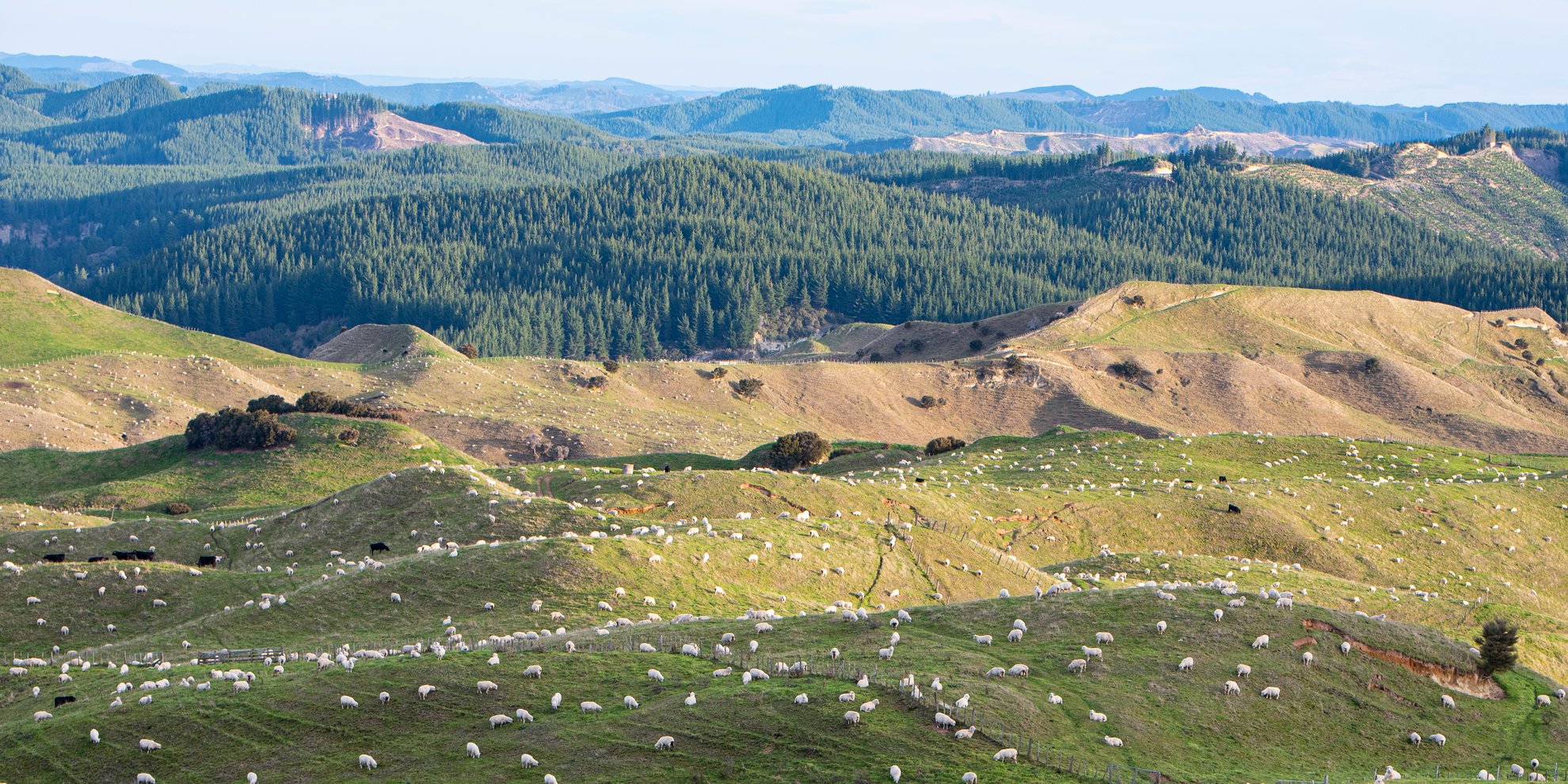 An image depicting the trail Boundary Stream Walks and its surrounding area.