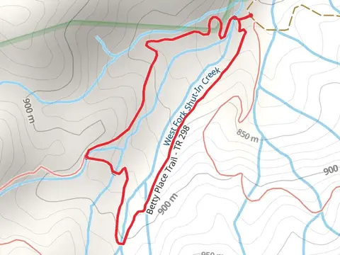 Betty Place Loop Trail