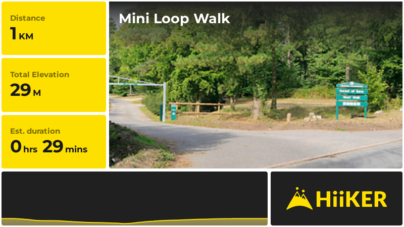 Mini Loop Walk | Hampshire | England