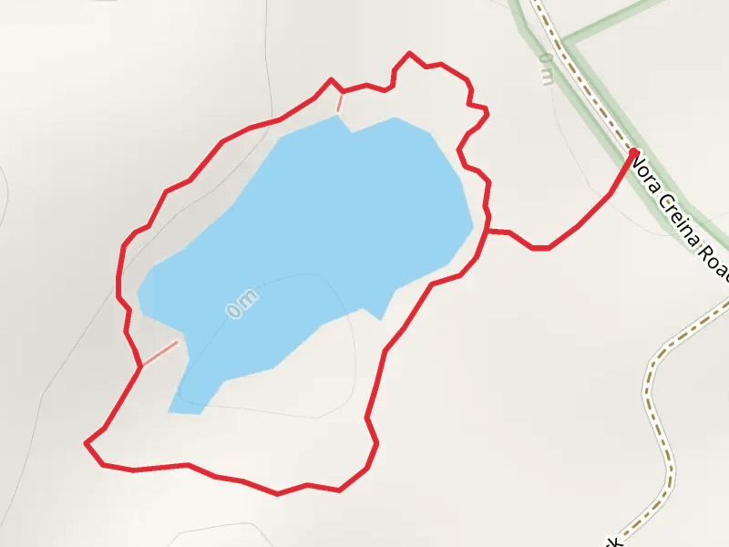 Fresh Water Lake Walk