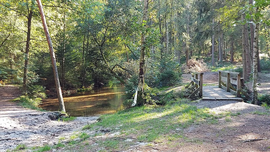 Weesen Walk