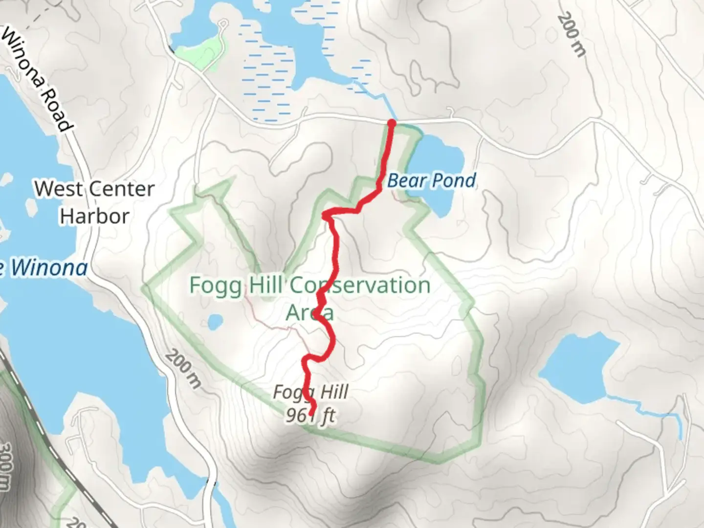 An image depicting the trail Fogg Hill Trail and its surrounding area.