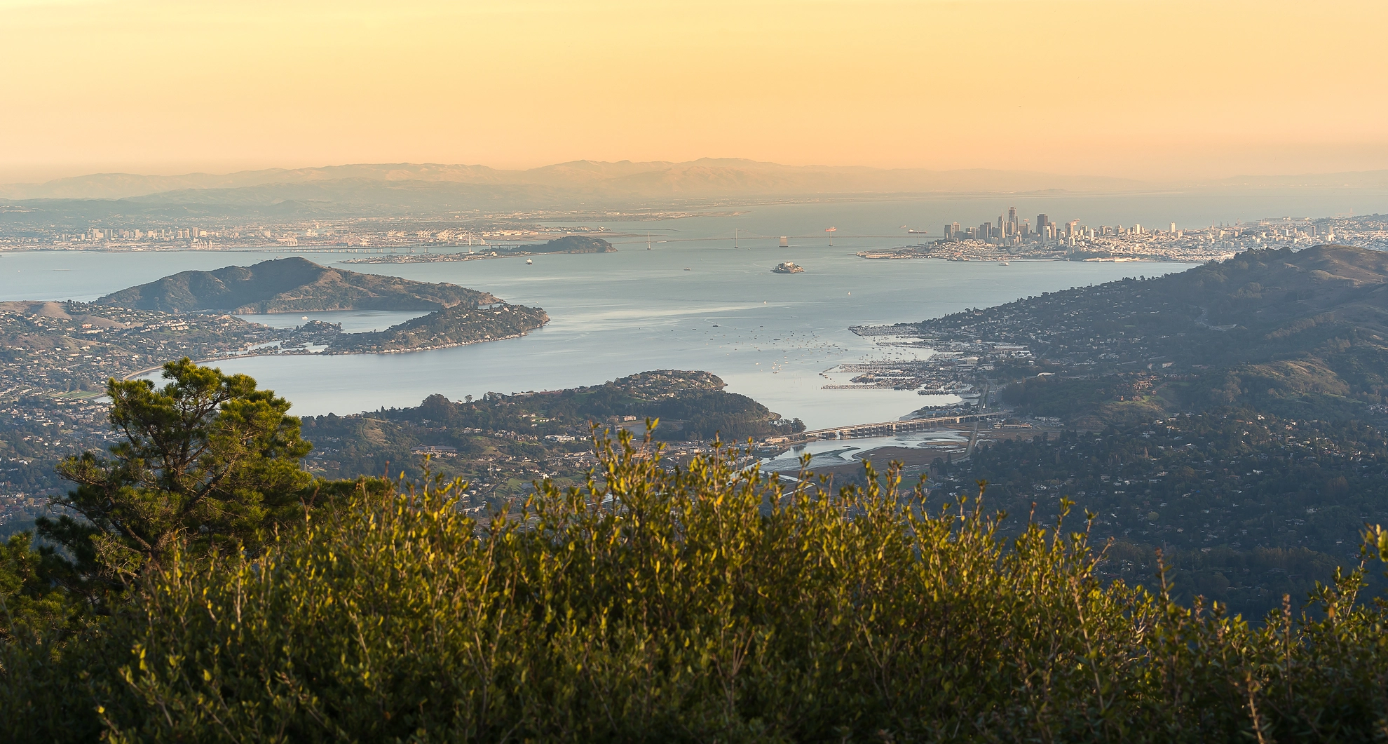 An image depicting the trail Railroad Grade Fire Road and Plank Walk Trail to Mount Tamalpais and its surrounding area.