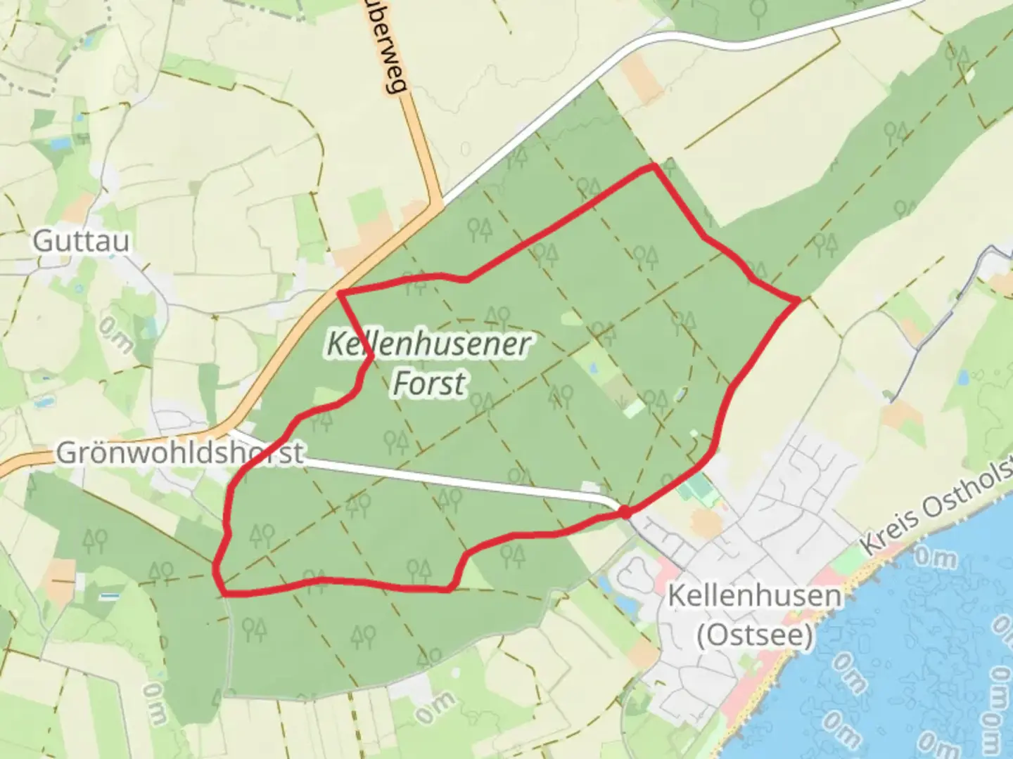 An image depicting the trail Waldroute Kellenhusen Loop and its surrounding area.