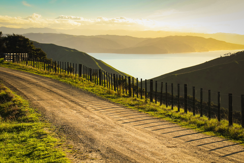 Mahia Peninsula Scenic Reserve Track