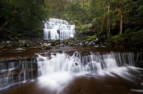 Liffey Falls Walk