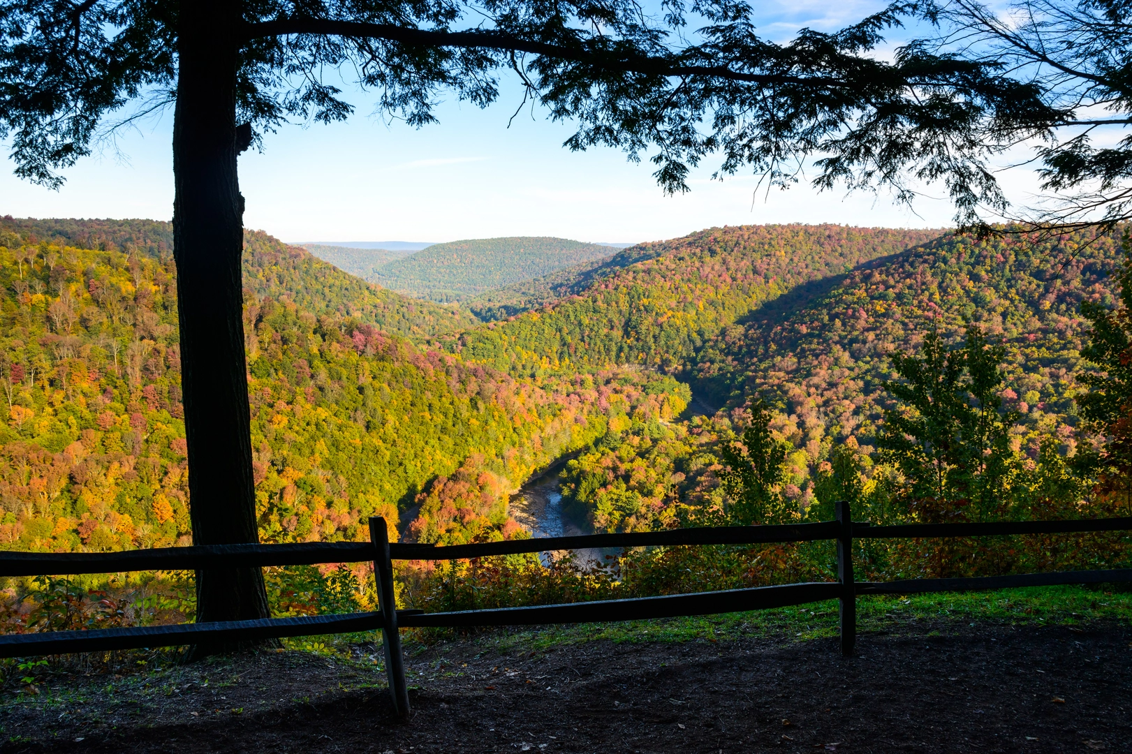 An image depicting the trail Loyalstock Trail and its surrounding area.