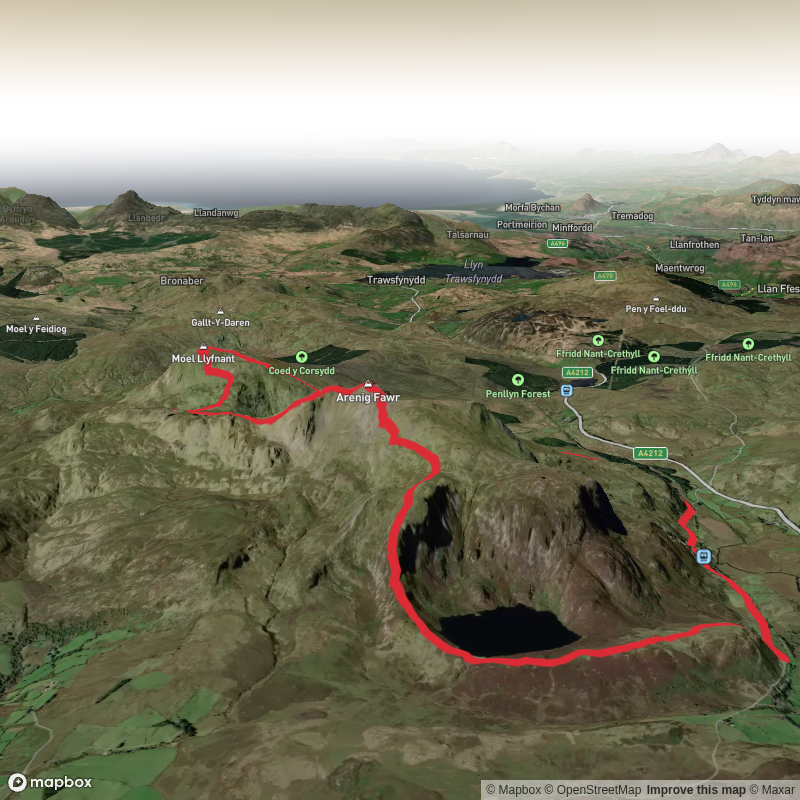Arenig Fawr and Moel Llyfnant (37)