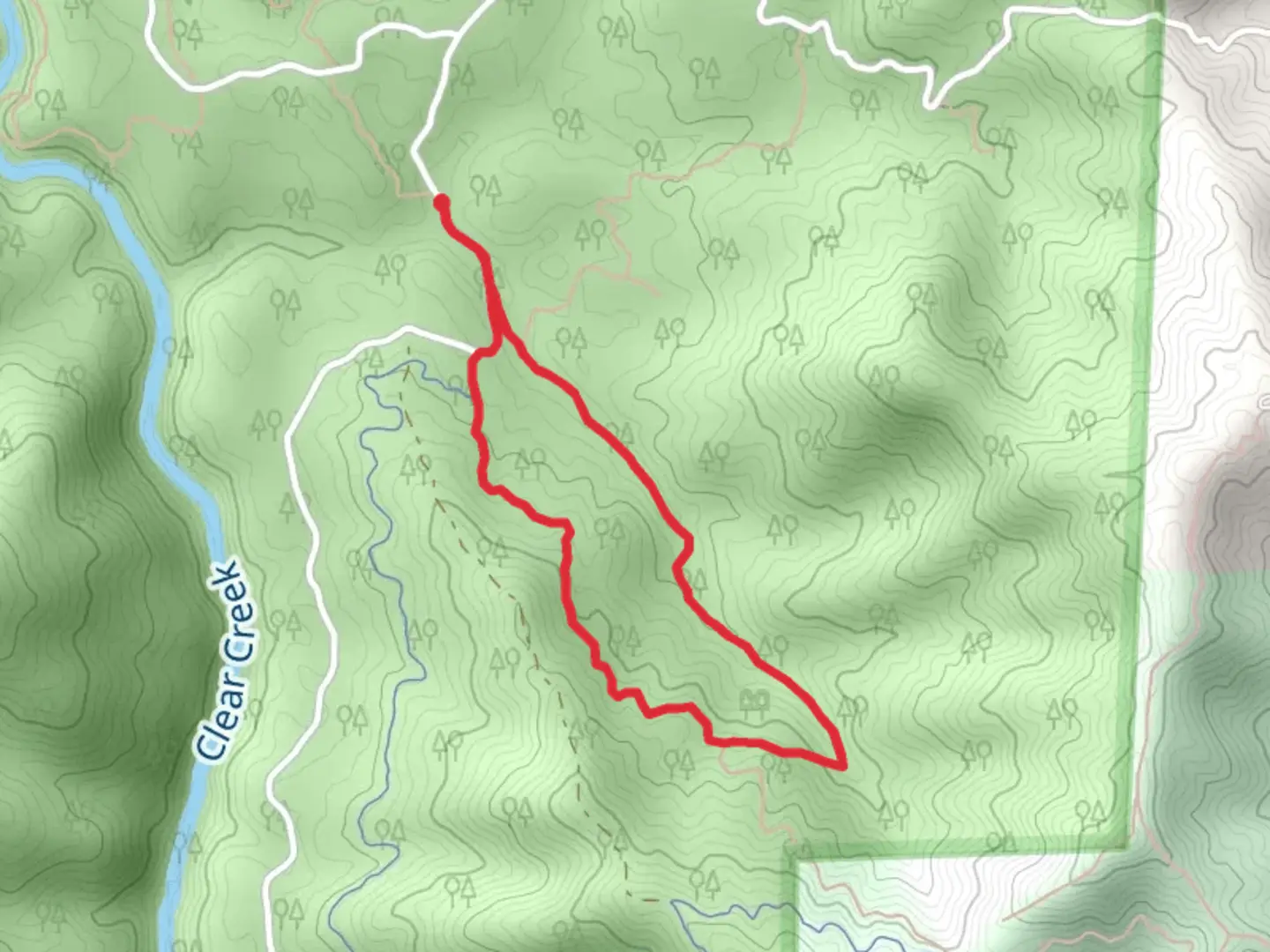 An image depicting the trail Salt Creek Loop and its surrounding area.