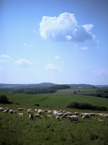 Externsteine, Wiembecke, Bärenstein and Knickenhagen Loop via Eggeweg