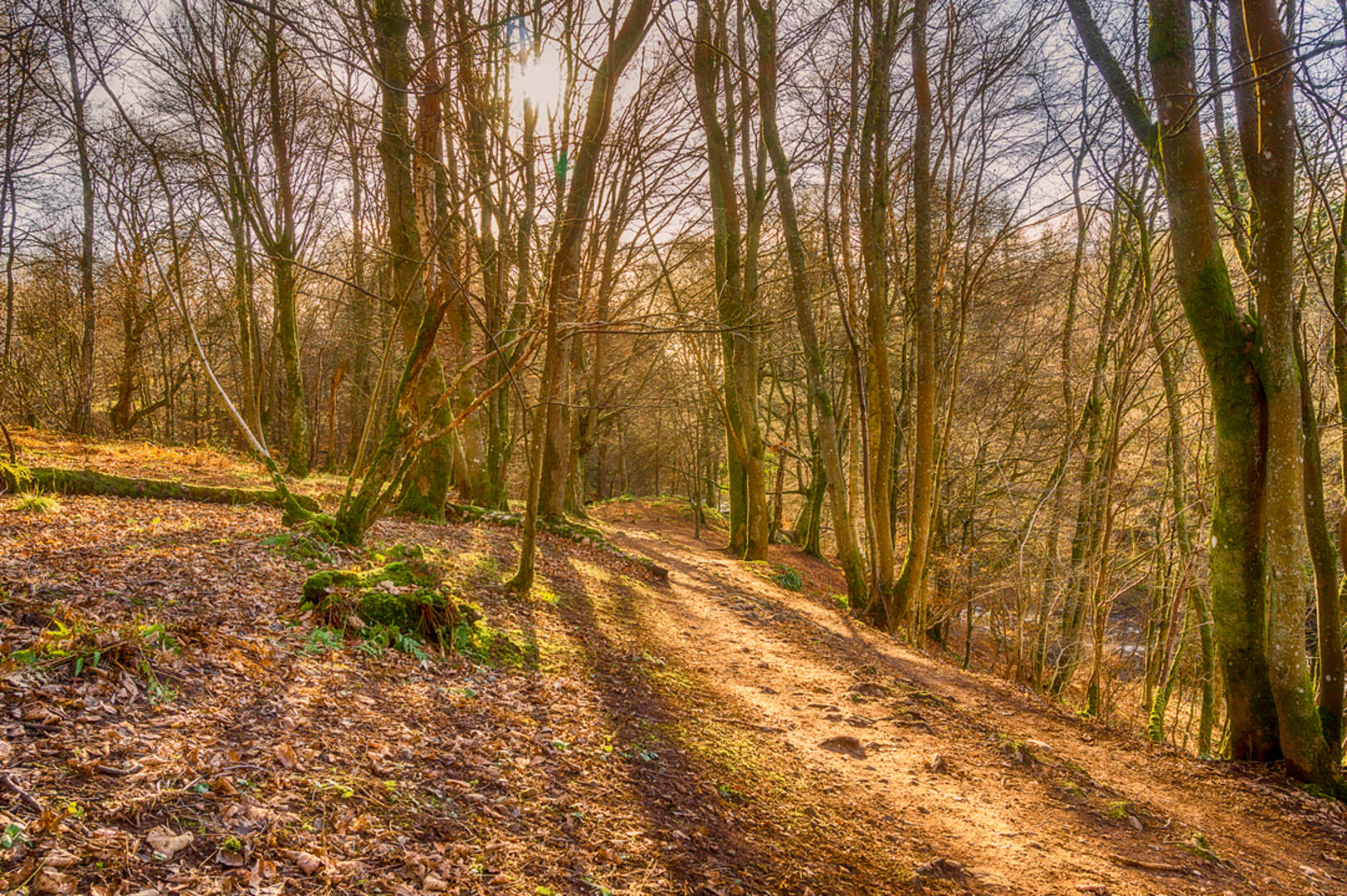 An image depicting the trail Carse of Lecropt and Bridge of Allan and its surrounding area.