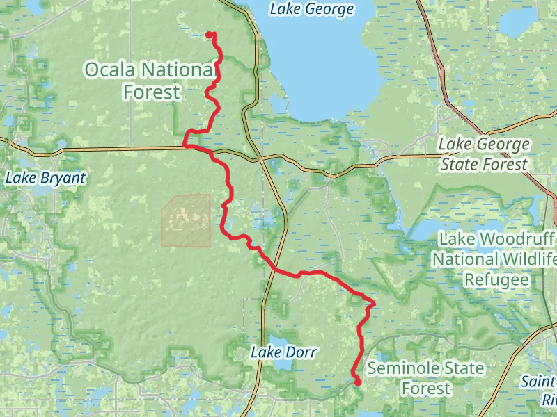 Florida National Scenic Trail - Ocala South