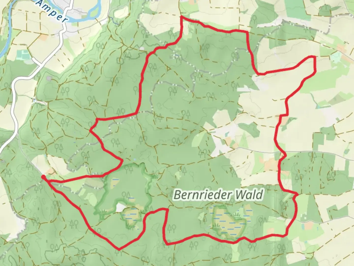 An image depicting the trail Bernrieder Wald and Gorbelmoos Loop and its surrounding area.