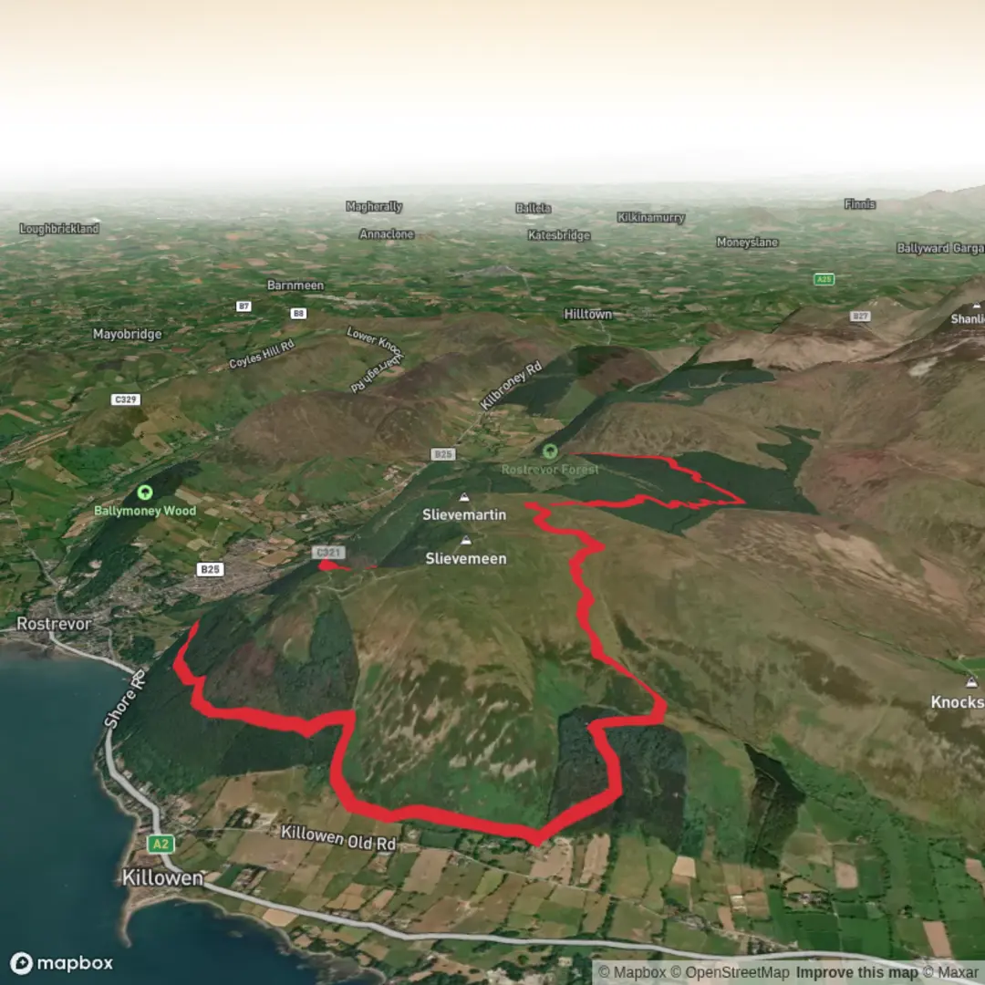 An image depicting the trail Rostrevor Forest Oakwood NNB Circular and its surrounding area.