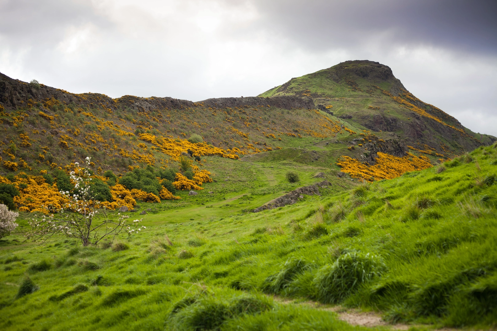 An image depicting the trail Dumbiedykes, Arthur's Seat and Holyrood Park Loop and its surrounding area.