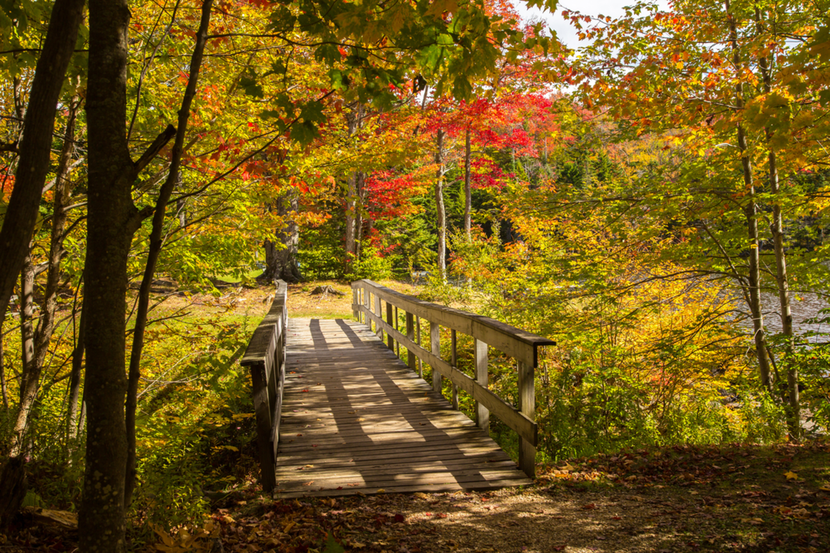 An image depicting the trail Pine Valley Trail and its surrounding area.