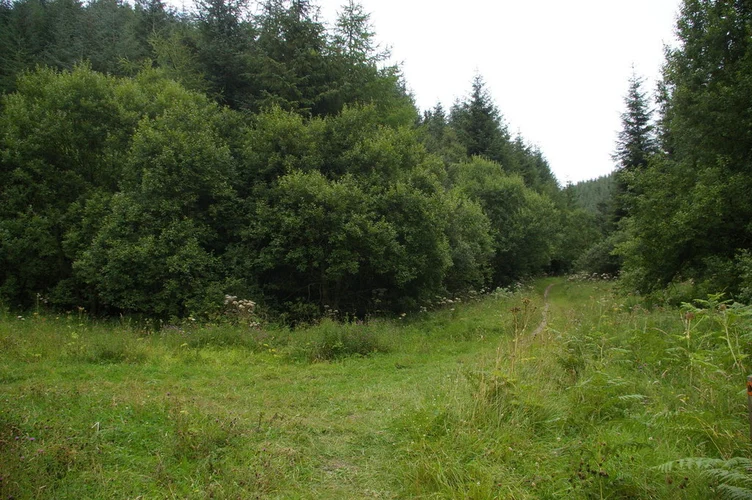 Dalby Forest Loop