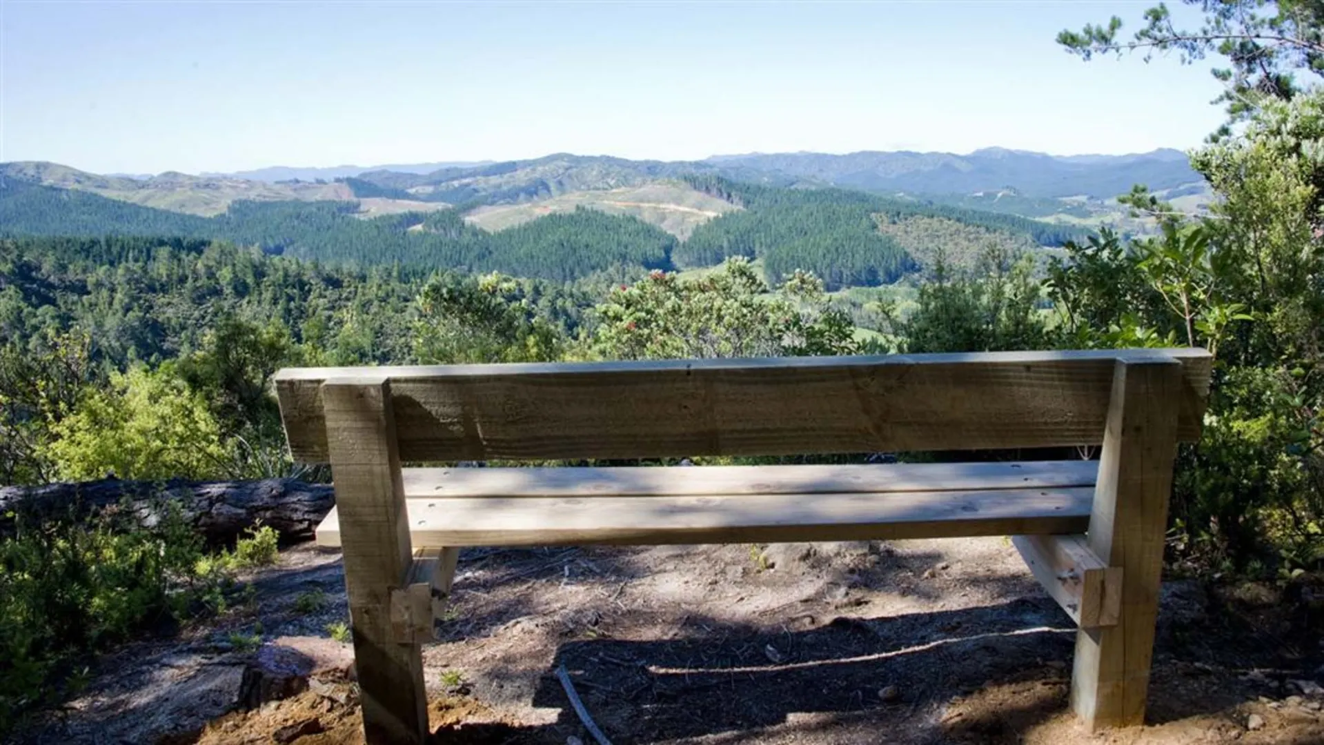 An image depicting the trail Rings Beach Loop Track and its surrounding area.