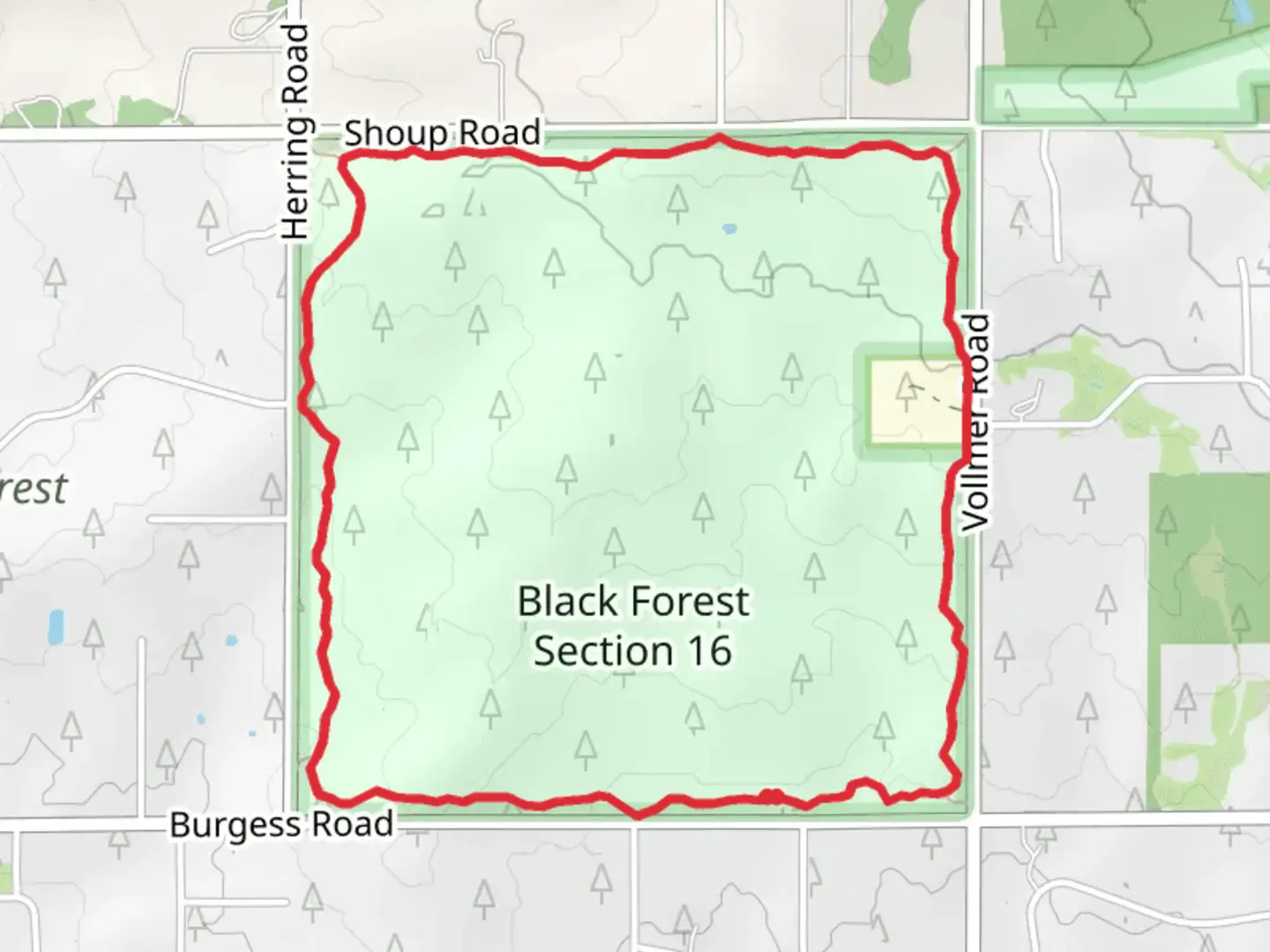 An image depicting the trail Black Forest Section 16 Loop and its surrounding area.