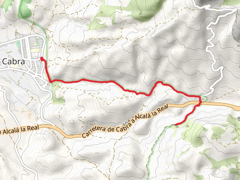 Goat - Source of Jarcas