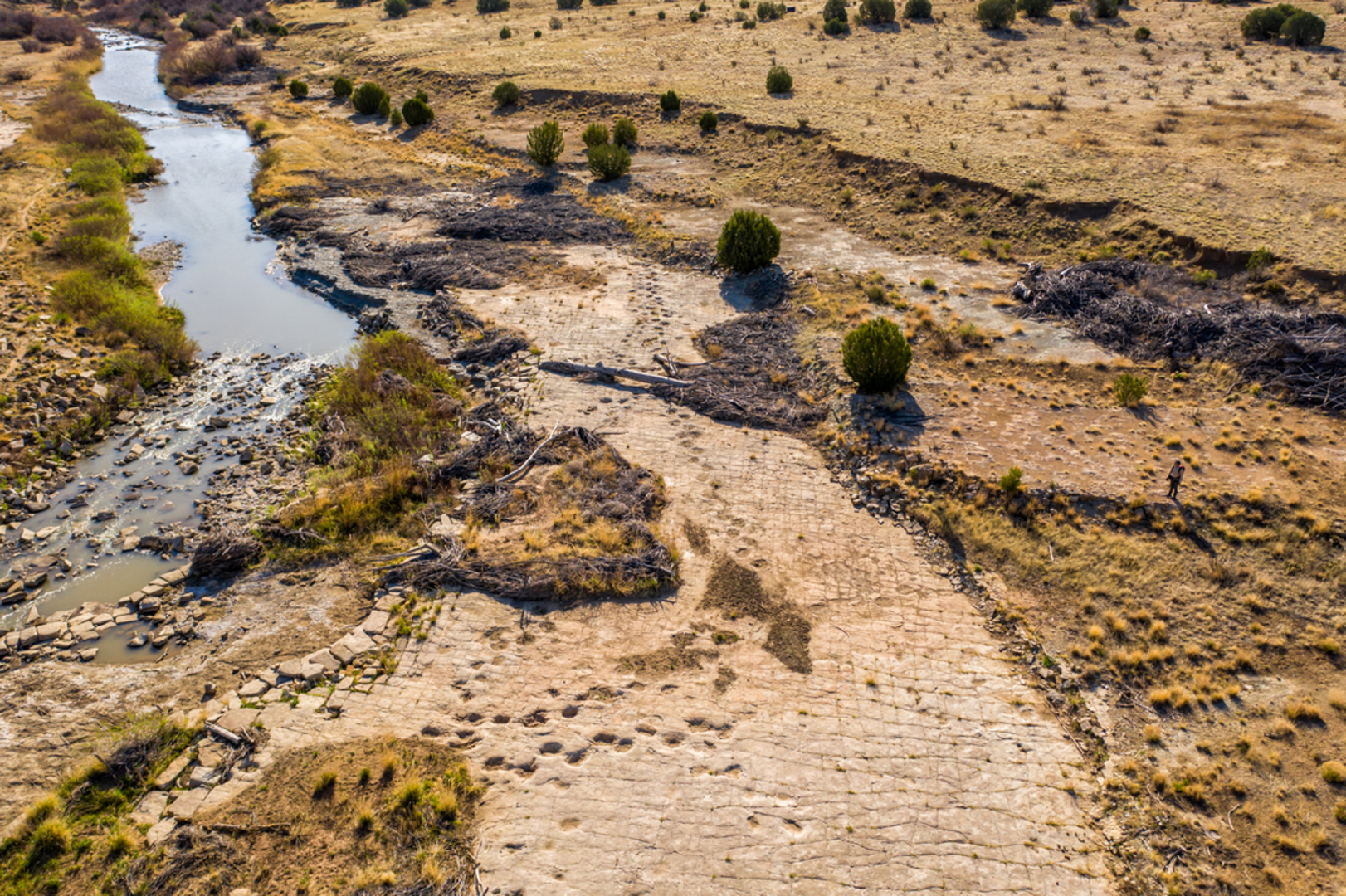 An image depicting the trail Picket Wire Canyonlands Trail and its surrounding area.