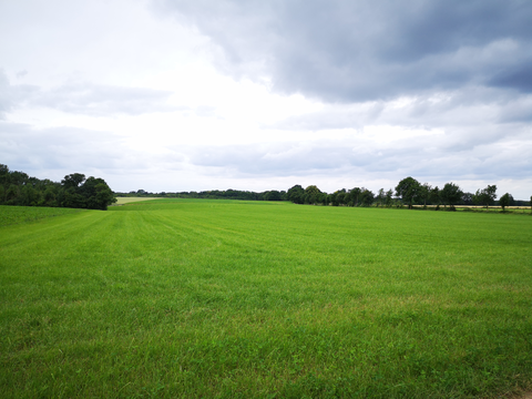 Vaalserberg to Amby via Malensbosch, Kruisbosch and Bemelerberg