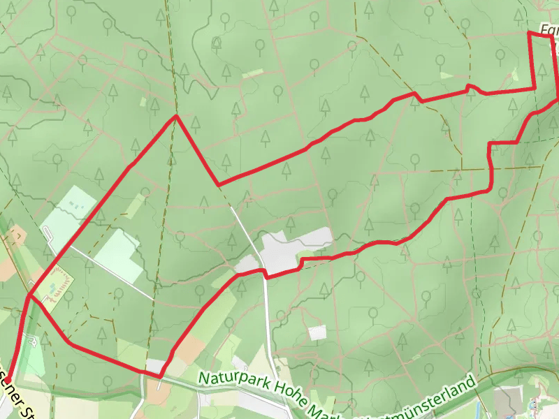 Feuerwachturm Farnberg via Hohe Mark Steig