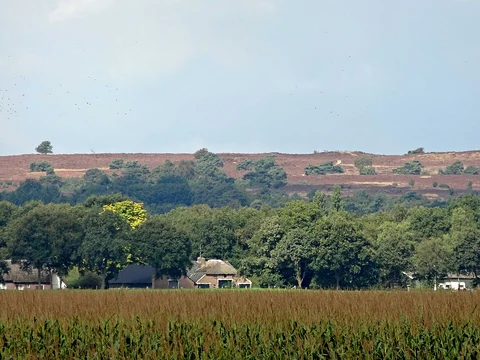 Archemerberg and Lemelerberg Loop